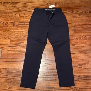 Banana Republic High Rose Curvy Sloan Pants NWOT